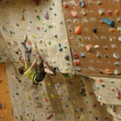 DSC00105 _Large__JPG-1362908123