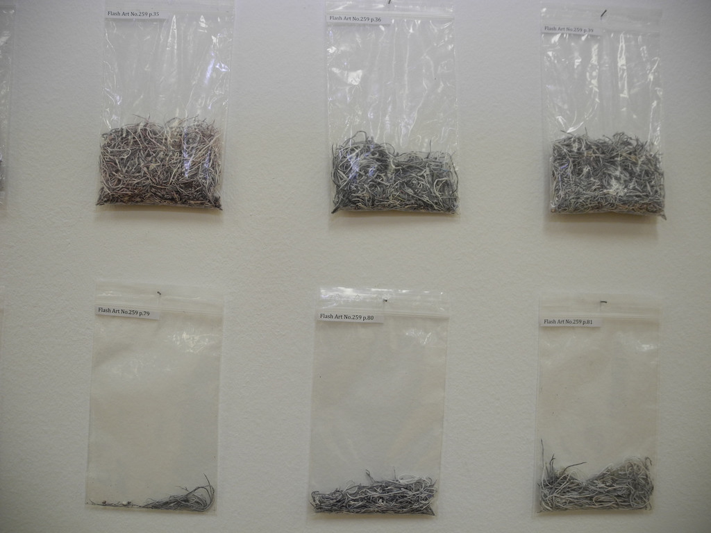 DSCN0899_JPG-1362909132