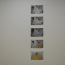 Ospelt_JPG-1362909645