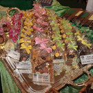 normal_09032013fmt_ostermarkt_gwandhaus_mw-5.jpg