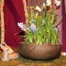 normal_09032013fmt_ostermarkt_gwandhaus_mw-6.jpg