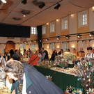 normal_09032013fmt_ostermarkt_gwandhaus_mw-8.jpg