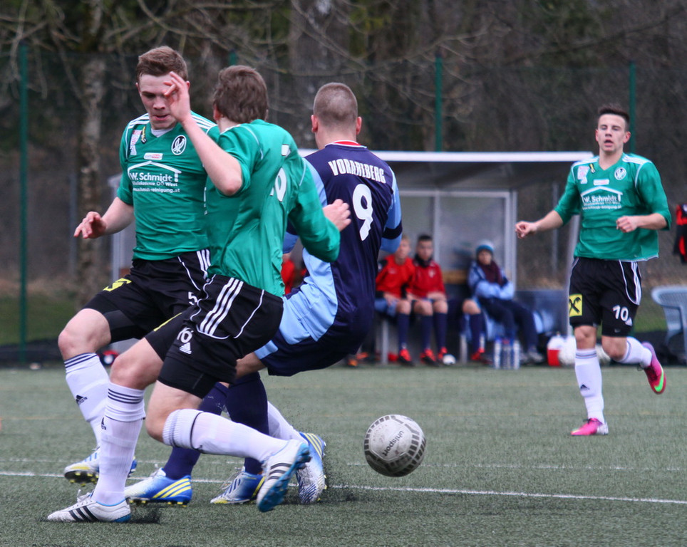 IMG_6396_jpg-1362914547