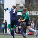 IMG_6550_jpg-1362915209