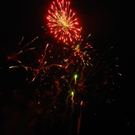 DSC04181.jpg