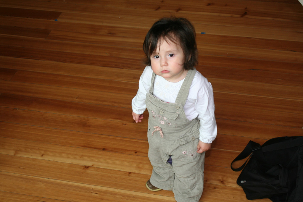 IMG_4595_JPG-1362939844