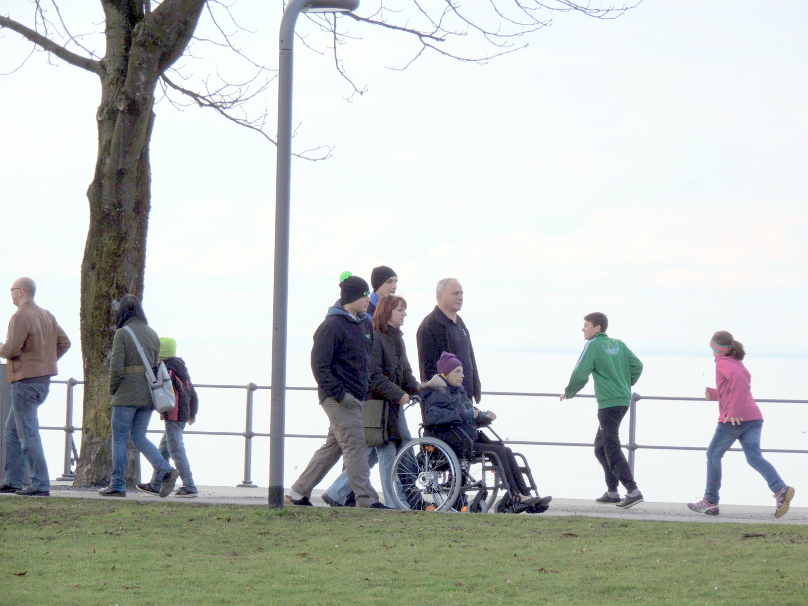 DSCN5466_JPG-1362955861