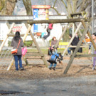 DSCN5401_JPG-1362955831