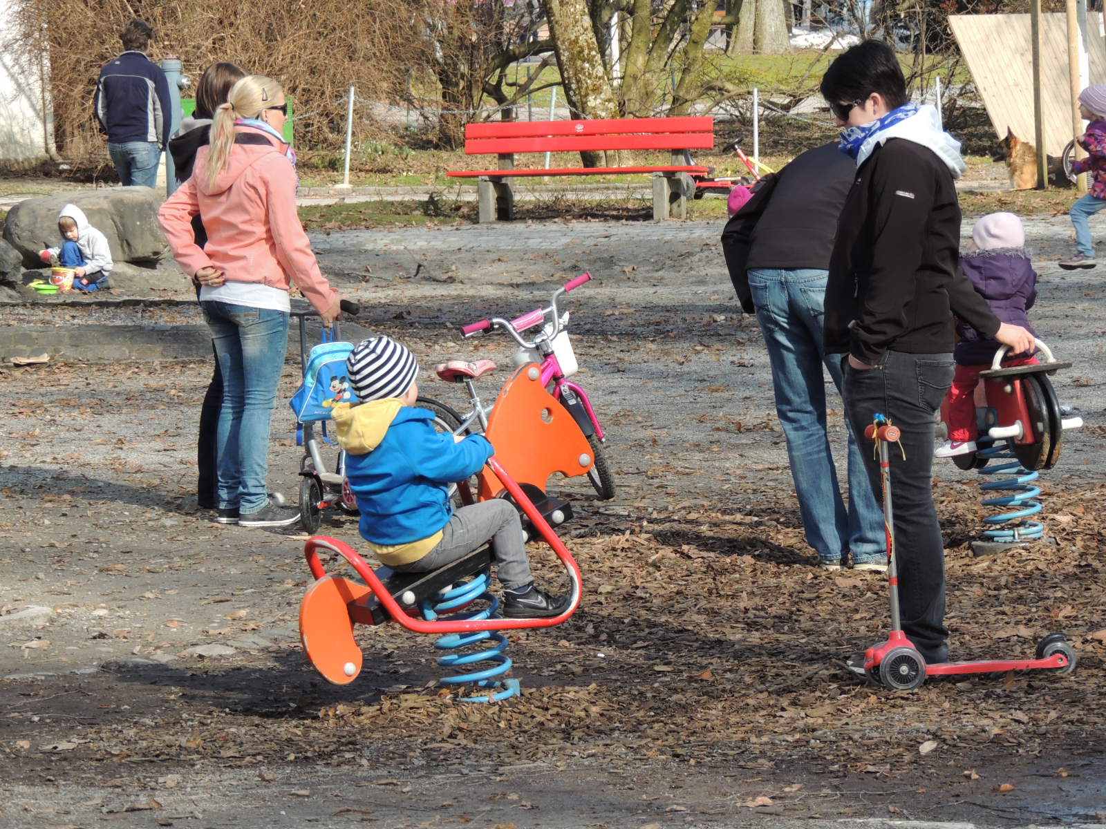 DSCN5398_JPG-1362955826