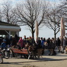 DSCN5411_JPG-1362955835