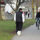 DSCN5471_JPG-1362955868