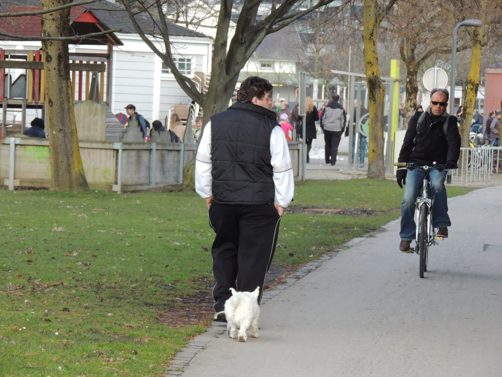 DSCN5471_JPG-1362955868