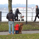 DSCN5479_JPG-1362955873