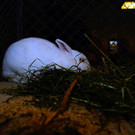 22_730ebd28ee794a2be44884a7463f5cd0.jpg