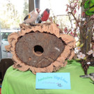 DSCN5341_JPG-1363044069