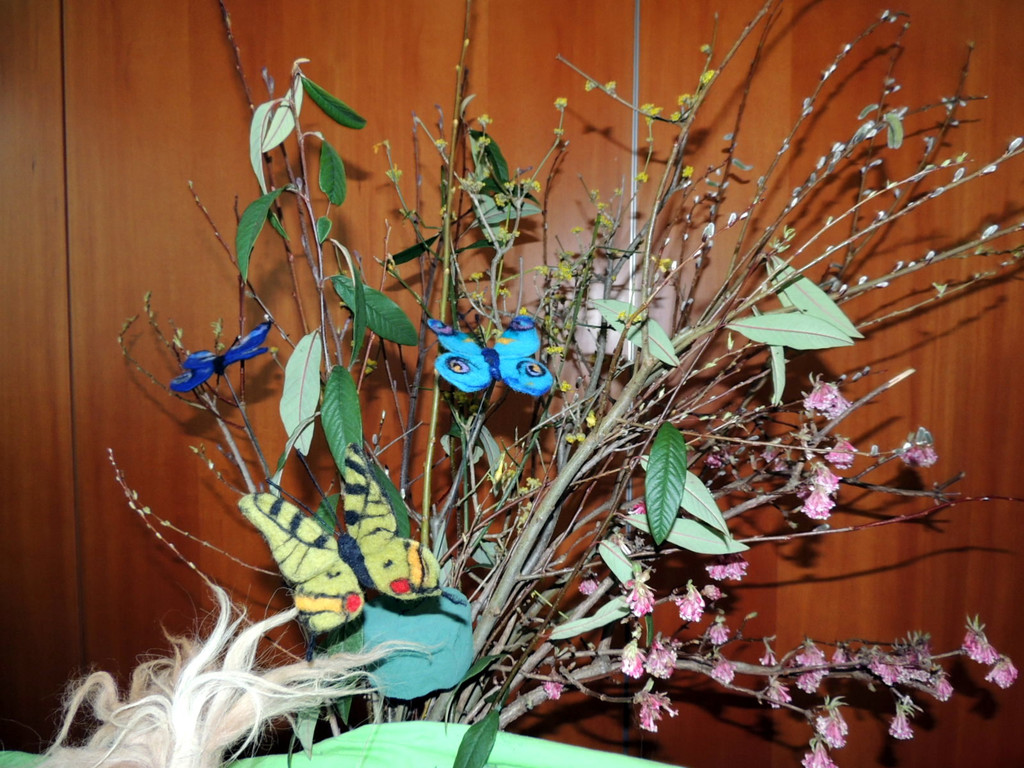 DSCN5347_JPG-1363044091