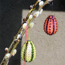 DSCN5384_JPG-1363044371