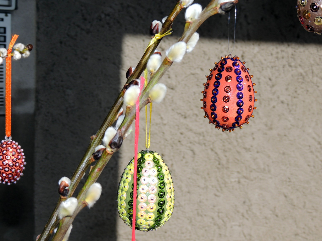 DSCN5384_JPG-1363044371