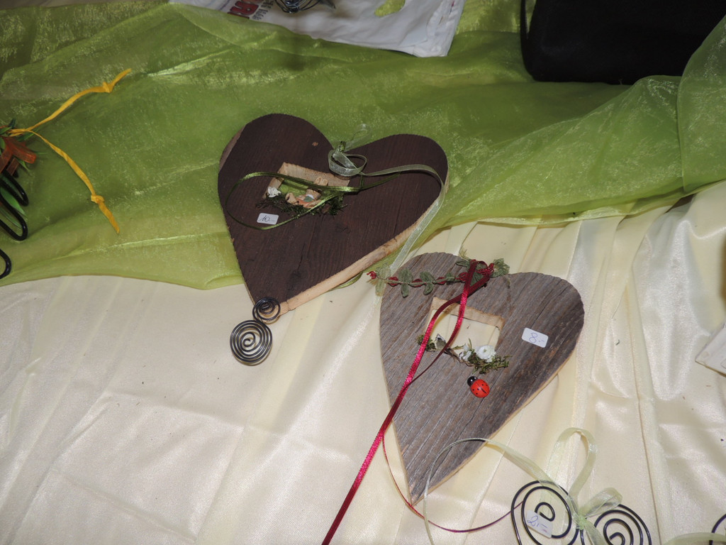 DSCN5356_JPG-1363044117