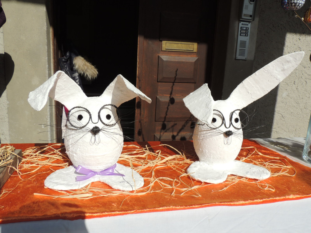 DSCN5386_JPG-1363044186