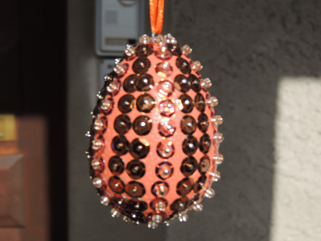 DSCN5383_JPG-1363044367