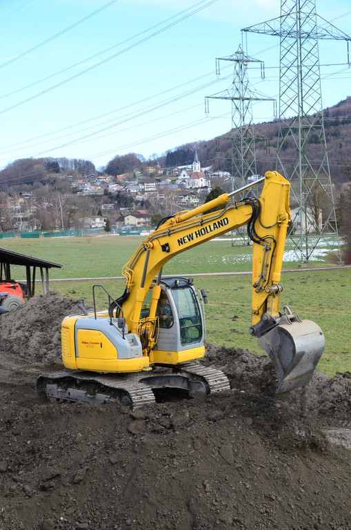 Rheindamm Hochwasserschutz 16.JPG