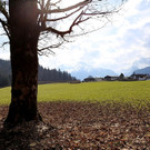 12032013wetterde01001aktivnews_46.JPG