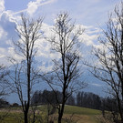 12032013wetterde01001aktivnews_02.JPG
