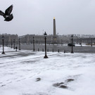 IBD0596-20130312.jpg