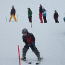 IMG_2517 _Medium__JPG-1363123899