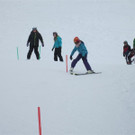 IMG_2523 _Medium__JPG-1363123903