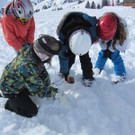 IMG_2530 _Medium__JPG-1363123915