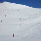 IMG_2572 _Medium__JPG-1363123954