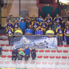 DSC_0238_jpg-1363165464
