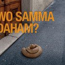 "Wo samma daham?" Neue Kampagne der MA48 für mehr Sauberkeit in Wien