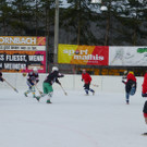 Besen10b_jpg-1363184899