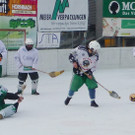 Besen11_jpg-1363184961