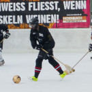 Besen11c_jpg-1363184973