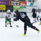 Besen11d_jpg-1363184977