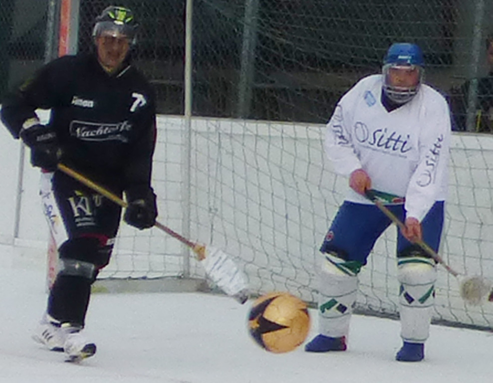 Besen11e_jpg-1363184980