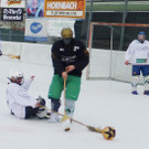 Besen11f_jpg-1363184984