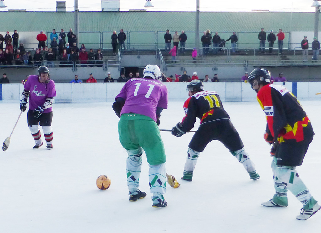 Besen13_jpg-1363185010