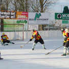 Besen13b_jpg-1363185031