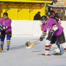 Besen13h_jpg-1363185081