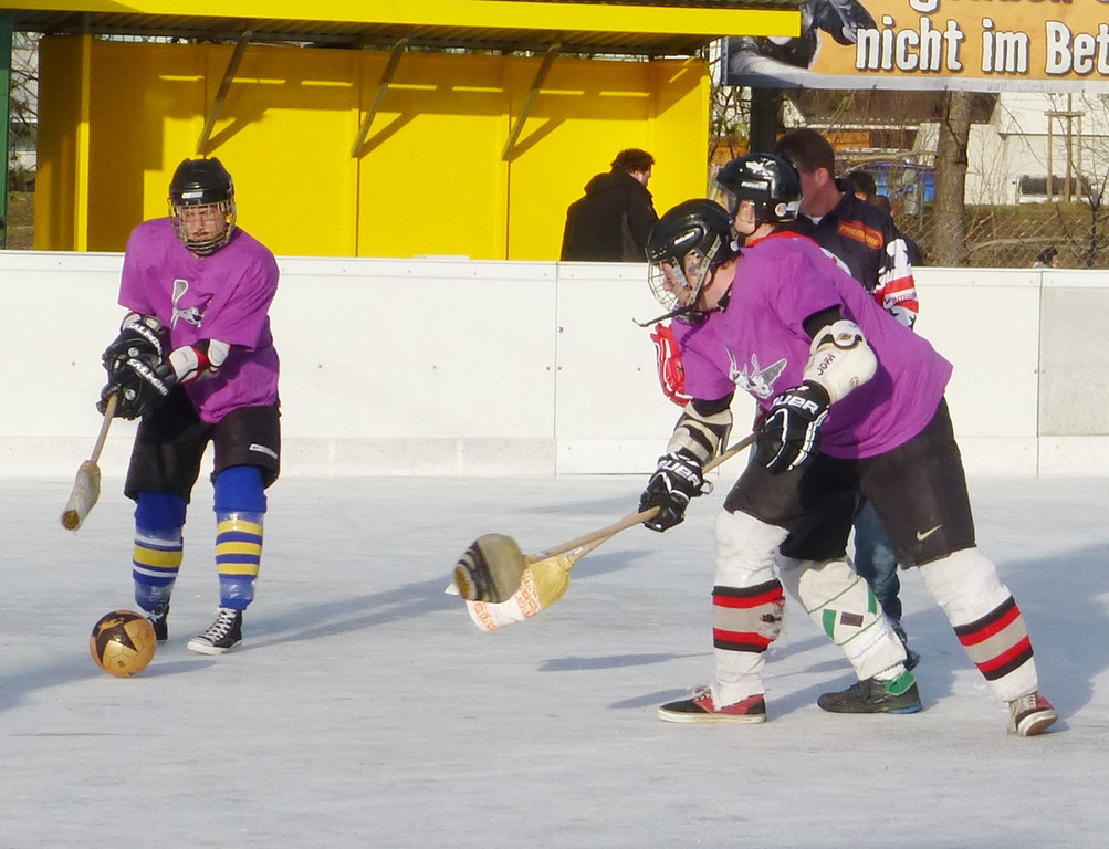 Besen13h_jpg-1363185081