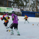 Besen13o_jpg-1363185135