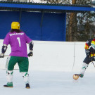 Besen13p_jpg-1363185145