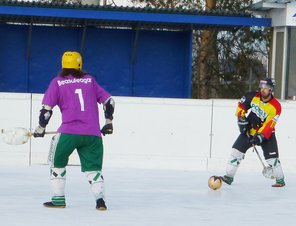 Besen13p_jpg-1363185145