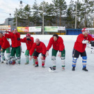 Besen13q_jpg-1363185156