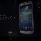 IBD0025-20130315.jpg